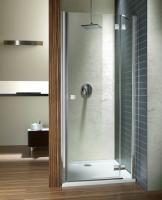Душевая дверь Radaway Almatea DWJ L/R 100x100 см 31202-01-12N