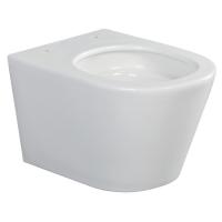 Унитаз подвесной безободковый Splendy Bliss 53 см BL10152VTNWG