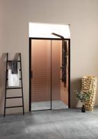 Душевая дверь Aquanet Pleasure 120 см 225498