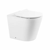 Унитаз приставной BelBagno Flay-R BB1003CBR