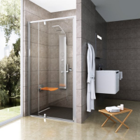Душевая дверь Ravak Pivot PDOP2 100 см 03GA0C00Z1