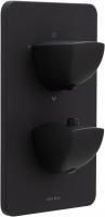 Смеситель для ванны Allen Brau Infinity 5.21316-31 черный матовый