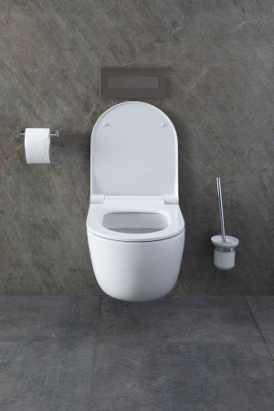 Фото унитаз с инсталляцией allen brau priority 00316509