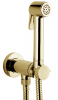 Встраиваемый смеситель с гигиеническим душем Bossini Paloma Brass E37005B.021