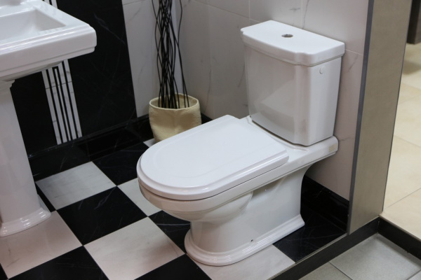 Фото унитаз компакт villeroy & boch hommage 73 см 666210r1 (без бачка)