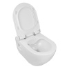 Фото унитаз с инсталляцией azario az-8010-1000+ocean plus