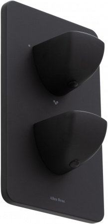 Фото смеситель для ванны allen brau infinity 5.21316-31 черный матовый