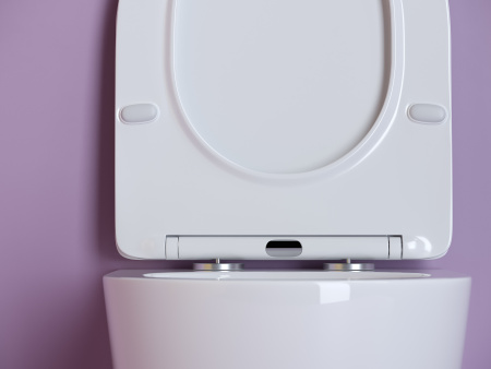 Фото унитаз подвесной, безободковый ceramicanova uno cn11001