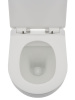 Фото унитаз подвесной aquame с сиденьем softclose 49 см aqm2002