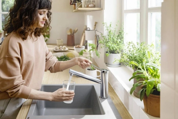 Фото смеситель для кухонной мойки hansgrohe zesis 74811000