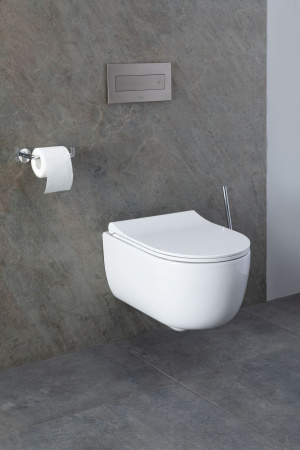 Фото унитаз с инсталляцией allen brau priority 00316509