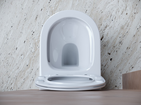 Фото унитаз подвесной, безободковый ceramicanova balearica cn6000