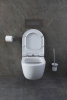 Фото унитаз с инсталляцией allen brau priority 00316508
