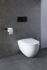 Фото унитаз с инсталляцией allen brau reality 00316510