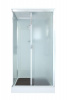 Душевая кабина DTO 110x90 см D119SEL с электрикой