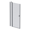 Душевая дверь AM.PM Sunny 100x190 см W87G-100-1P-BT