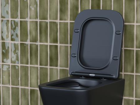 Фото унитаз подвесной, безободковый ceramicanova metric cn3007mb