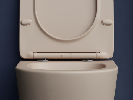 Фото унитаз подвесной, безободковый ceramicanova balearica cn6000mc