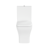 Фото унитаз-компакт напольный vitra polar 9843b003-7201