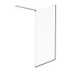 Душевая стенка AM.PM Func 110x200 см W84WI-110-F1-BTE