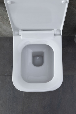 Фото унитаз с инсталляцией allen brau infinity. с гигиеническим душем