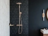 Фото душевая стойка hansgrohe raindance select s 27633140