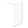 Душевая стенка AM.PM Func 120x200 см W84WI-120-F1-MTE