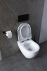Фото унитаз с инсталляцией allen brau reality 00316510