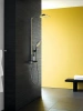 Фото душевая стойка hansgrohe raindance e 27112400