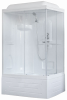 Душевая кабина Royal Bath BP RB8100BP1-T-L 100x80 см