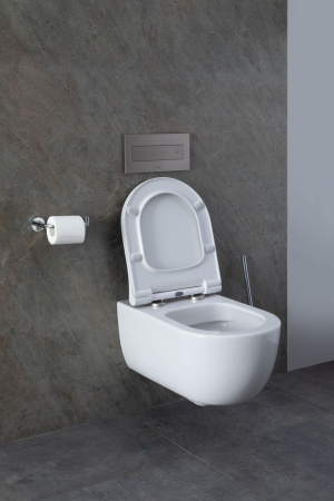 Фото унитаз с инсталляцией allen brau priority 00316508