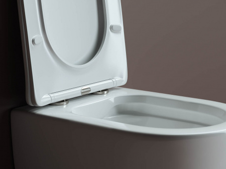 Фото унитаз подвесной, безободковый ceramicanova mia cn1805