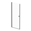 Душевая дверь AM.PM Sunny 80x190 см W87G-80-1P-BT