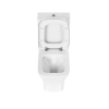 Фото унитаз-компакт напольный vitra polar 9843b003-7201