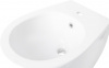 Фото биде подвесное allen brau fantasy 4.11006.20