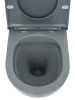 Фото унитаз подвесной aquame с сиденьем softclose 49 см aqm2002mgr