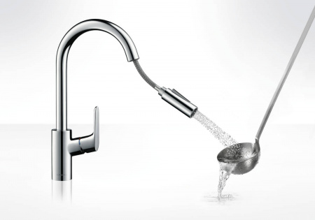 Фото смеситель для кухни hansgrohe focus 31815000