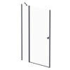 Душевая дверь AM.PM Sunny 120x190 см W87G-120-1P-BT