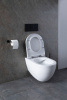 Фото унитаз с инсталляцией allen brau reality 00316510