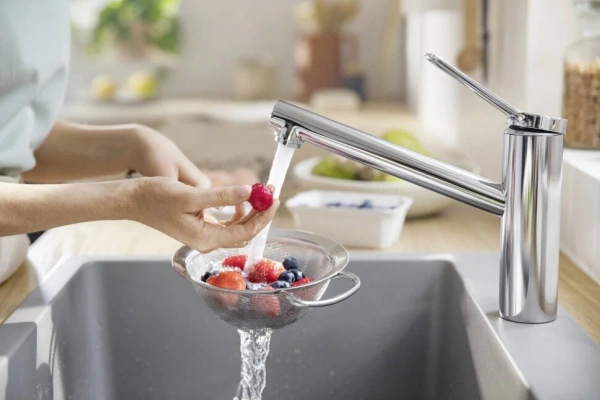 Фото смеситель для кухонной мойки hansgrohe zesis 74813000