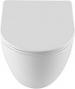 Фото унитаз подвесной allen brau priority 4 4.31013.20 белый