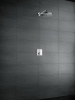 Фото верхний душ с держателем hansgrohe raindance select s 240 2jet 26466000